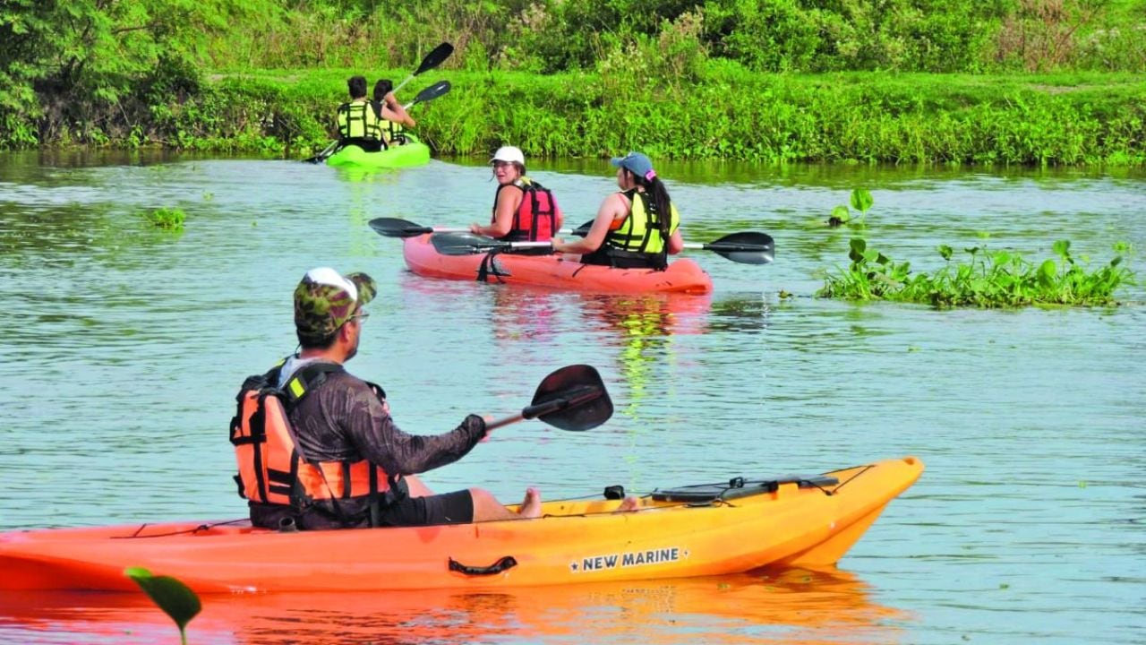 Laguna Setúbal desde el agua: una empresa familiar de Arroyo Leyes que enseña a remar entre camalotes, irupés y flamencos