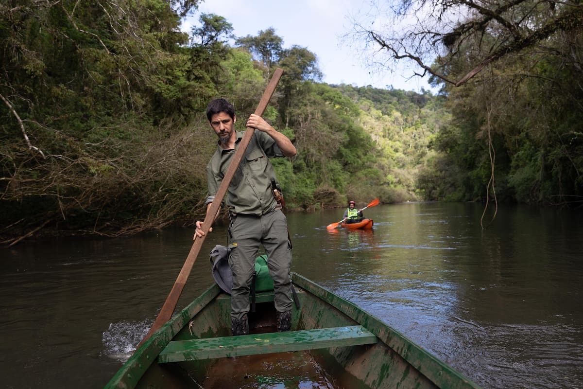 Amanecer en el arroyo Paraíso: dos o tres días para dejarse abrazar por la selva de Margay