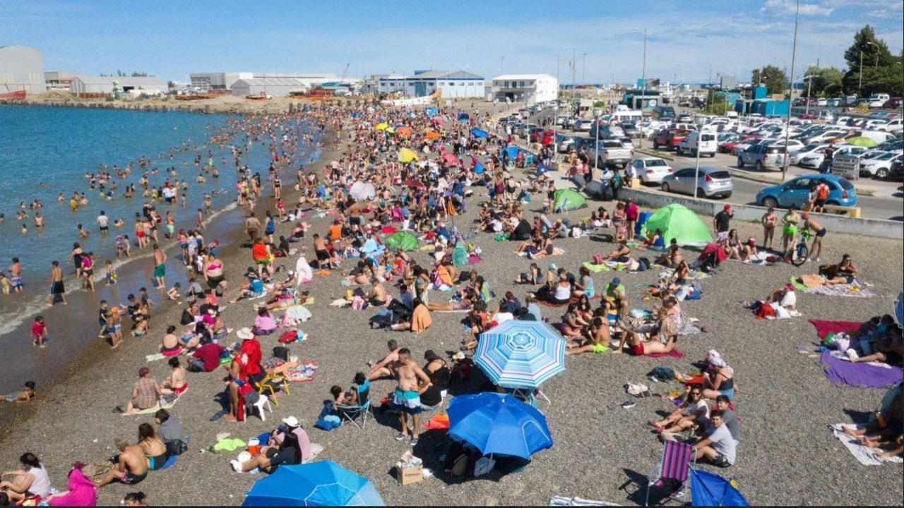 Comodoro Rivadavia se prepara para un 2027 con ballenas sei, mariscos del golfo y caminatas sobre los restos de un bosque petrificado