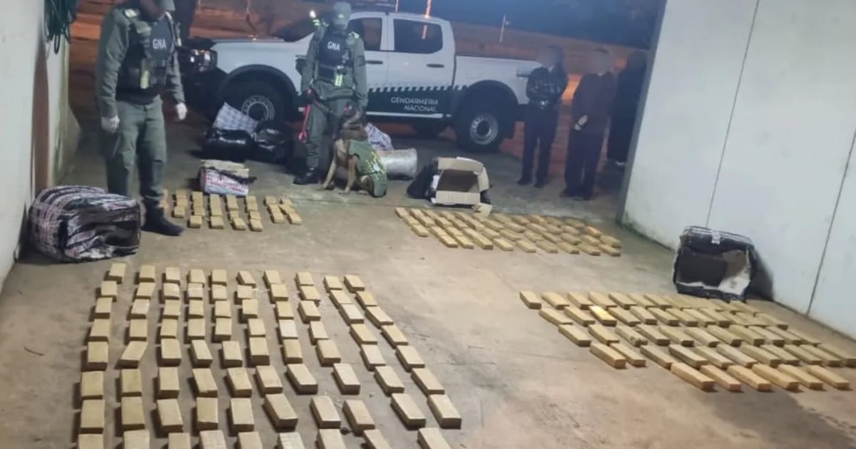 Incautan más de 142 kilos de marihuana en un ómnibus que viajaba de Misiones a Buenos Aires