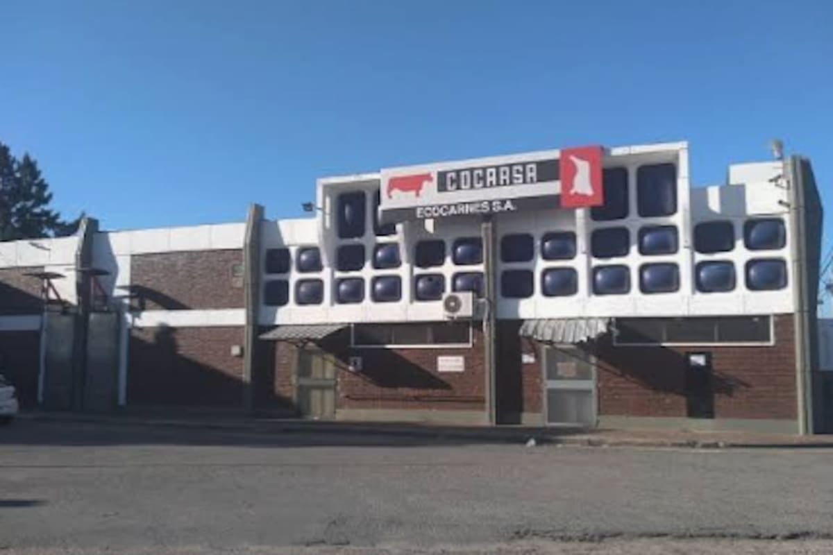 Ecocarnes en terapia intensiva: los trabajadores perdieron la cobertura médica y pelean por no tocar el sueldo
