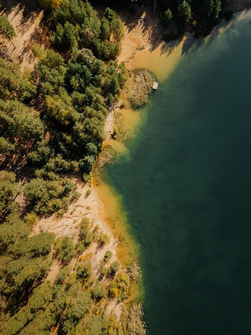La capillita del lago Lácar: cómo llegar a la isla donde los madereros rezaban antes de volver al monte