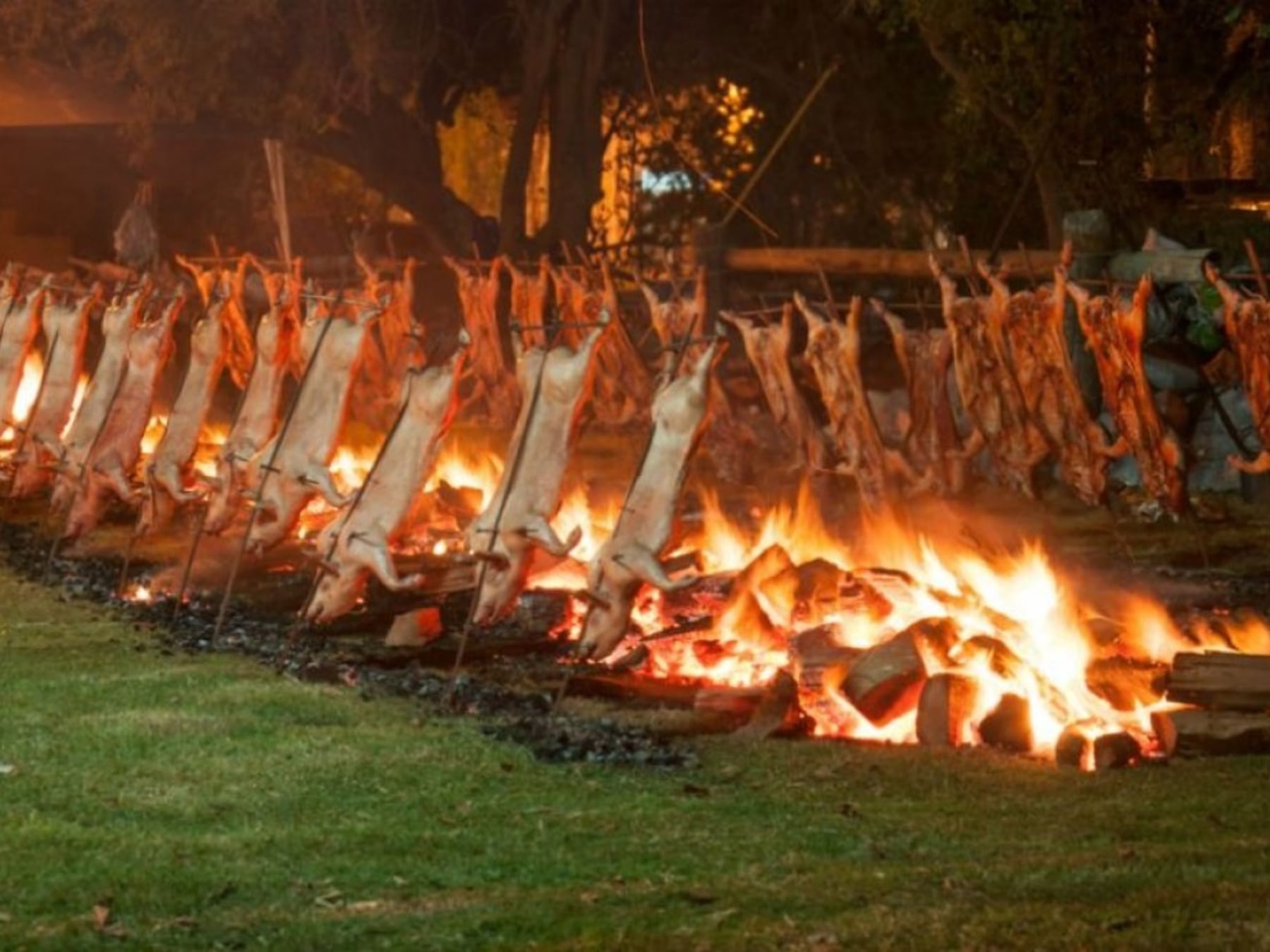 El fin de semana largo se estira entre fiestas, fainá y corderos al asador: una recorrida por la provincia de Buenos Aires