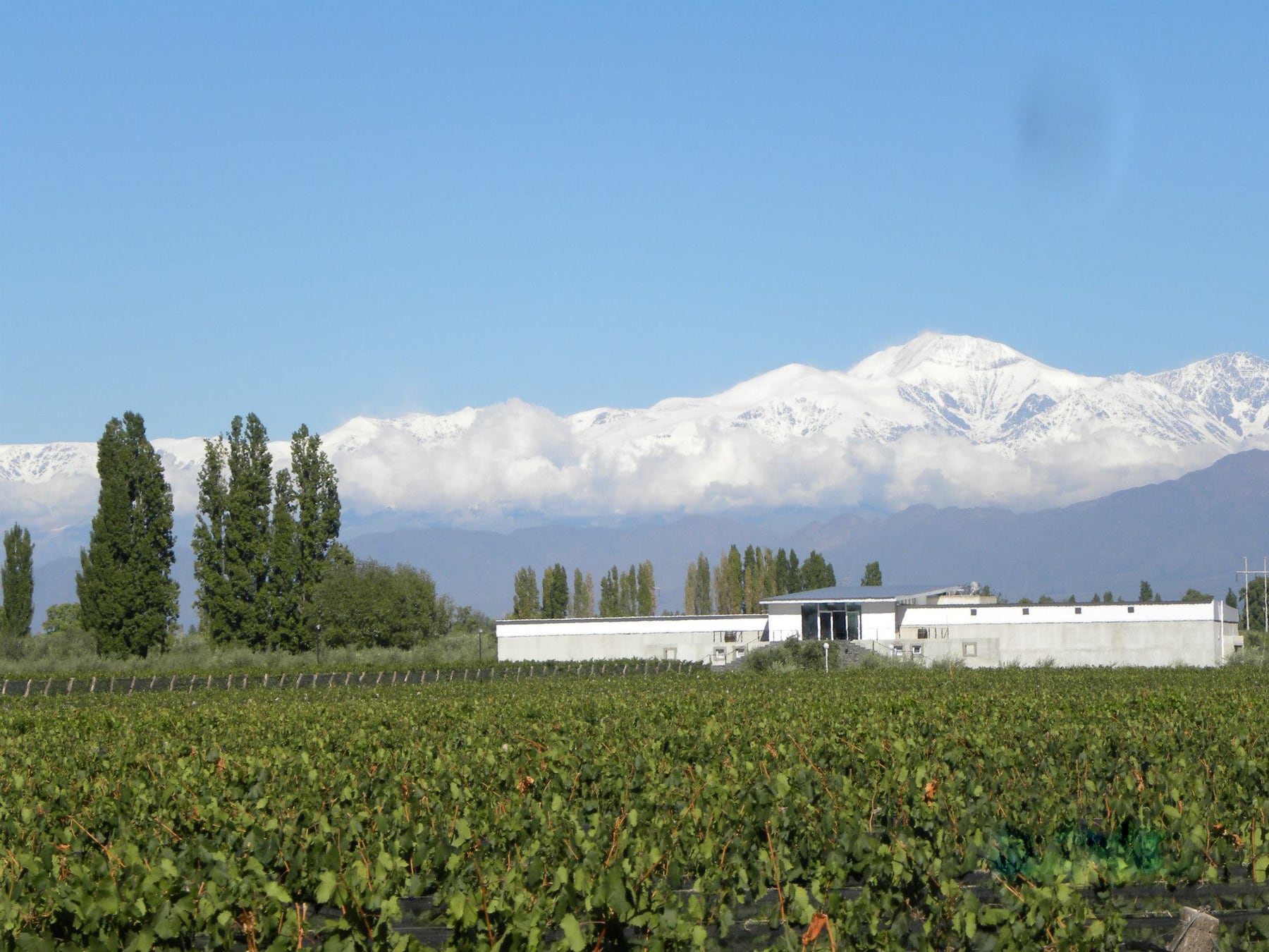 Vitis vinifera y vinilo en la montaña: el pueblo mendocino que dejó de ser escala para convertirse en destino