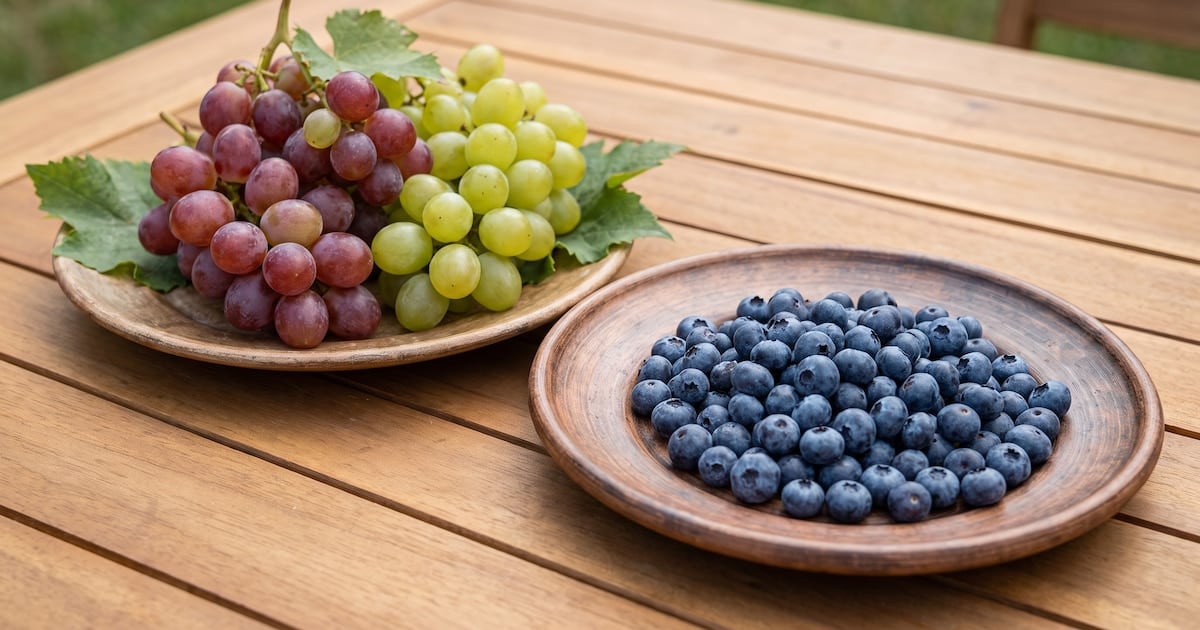 Arándanos o uvas: la pulseada por el azúcar en sangre y qué cambia según cómo las comamos