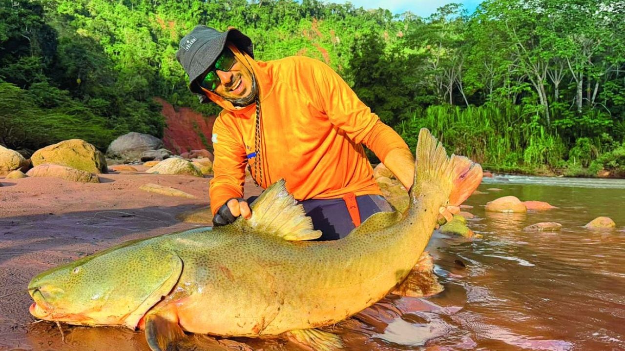  Colossoma macropomum y otros gigantes: la pesca con devolución que ya es paisaje en la Amazonía boliviana