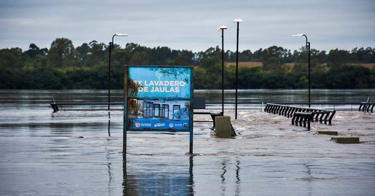El Niño empuja la carne hacia arriba y amenaza la logística en plena campaña gruesa