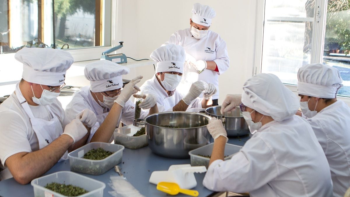 De la chacra al mundo: las mermeladas neuquinas que deslumbraron a Inglaterra