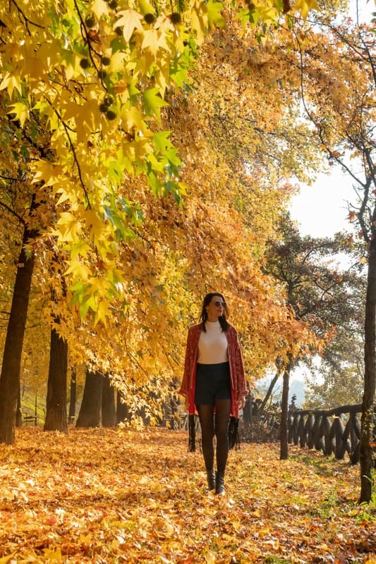 El otoño europeo deja más espacio paraissive mirar, recorrer y refugiarse