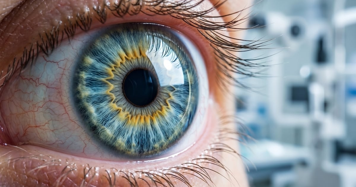 Una proteína esperada en la Universidad AustralKF, AN y el CONICET busca proteger la visión después de quemaduras
